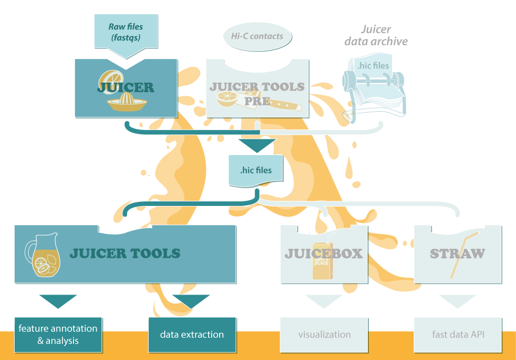 juicer工作流程