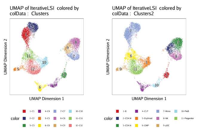 Plot-UMAP-Clusters12-Combined